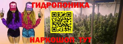 гидра Мариинск